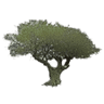 Ferreteria Profercampo