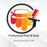 Professional Paint & Body