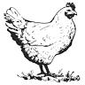 Project Farm Stand