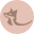 PROMINENT FOX BOUTIQUE