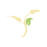 Pro Natura - Ihr Naturkostladen