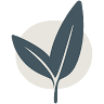 Prosperity Accounting, Bookkeeping, and Controller Services