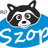 ProSzop.pl - Ekspert w Czyszczeniu