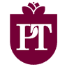 Professional Taxes Inc