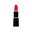 P.S. Cosmetics Inc.
