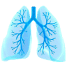 Premier Pulmonary Services