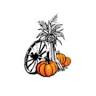 Pumpkin Patch Market