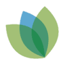 Pure Cypress Dentist