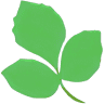 Pure Flow Massage and Laser Hair Removal Studio