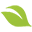 Химическо чистене Pure&Green | Професионално пране и химическо чистене София