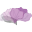 Purple Poppy Boutique - Ankeny