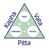 Ayurveda Consultations