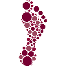 Queensland Foot Centres
