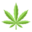 Quilchena Cannabis Company