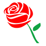 Quinn's Flower Shop