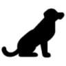 R17 Sport Performance