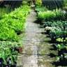 Rabold's Nursery