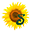 Ramsauer Sonnenalm Dieter Wieser