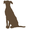 Randall Oaks Animal Hospital