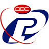 Radial-Dvs Odo
