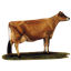 Reality Farm