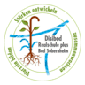 Disibod-Realschule plus Bad Sobernheim