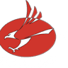 Red Eagle Aviation