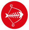 Red Herring Surf Co