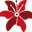 Red Lily Artesanía