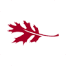 Woodland Commons - Red Oak Apartment Home