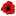 The Red Poppy Boutique