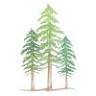 Redwood Family Dermatology — Ukiah
