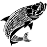 Boca Grande Fishing with Reel Intense