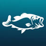Reel Moosehead Guide Service