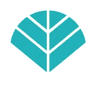 Reforming Indy Pilates Studio - Carmel