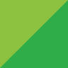 Regency Plus Windows