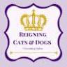 Reigning Cats & Dogs
