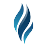 Reliant Insurance Group