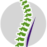 Relief Chiropractic Health Clinic