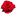 FLORISTERÍA RELIEVES MELGAR - DUITAMA BOYACÁ