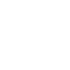 RENAULT/DACIA - SAG AUTO