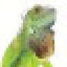 Reptiles Twente