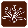Reserva Brasil - Cosméticos e Aromas de Ambientes