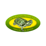 Reserve Romanetto House Turtle