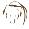 Vodní svět