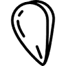 le mytilus