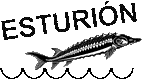 Restaurante Esturión