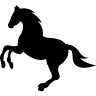 De Kuiper