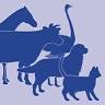 Simpson Veterinary Clinic