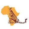 Rijay Africa travel